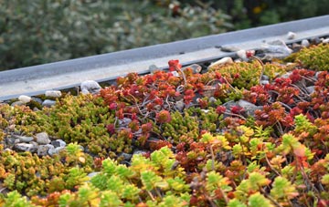 the cost of Struggs Hill green roof installation