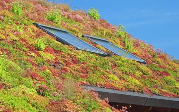 Struggs Hill living roof systems