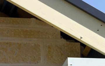 soffit repair Struggs Hill